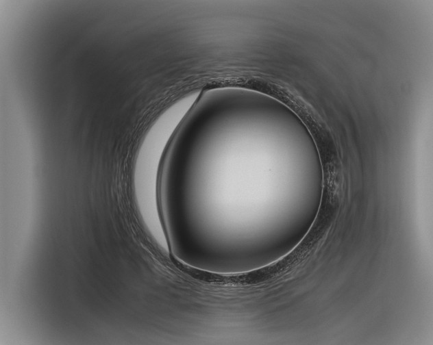 X0000116600593200912111115