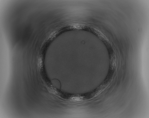 X0000116600595200912111115