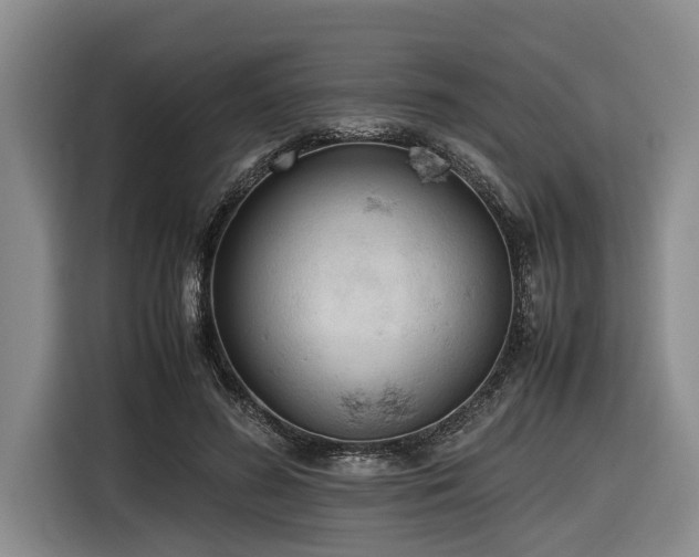 X0000116600596200912111115