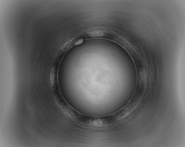 X0000116600600200912111115