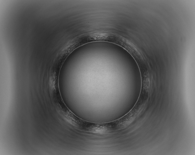 X0000116600604200912111115