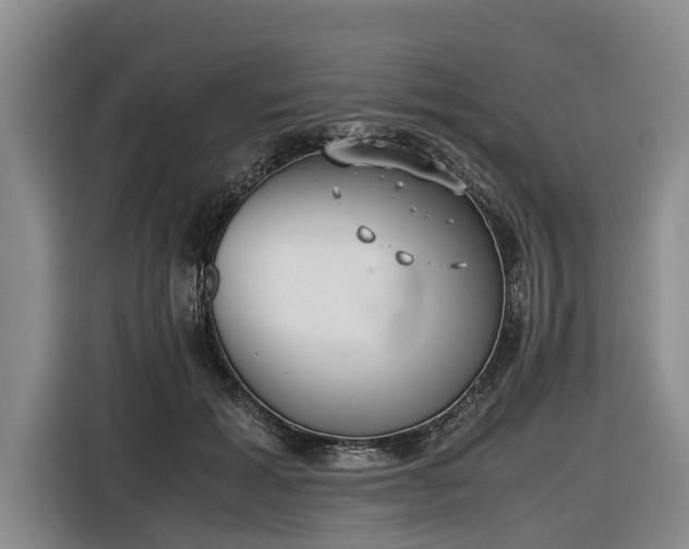 X0000116600605200912111115