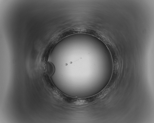 X0000116600609200912111115