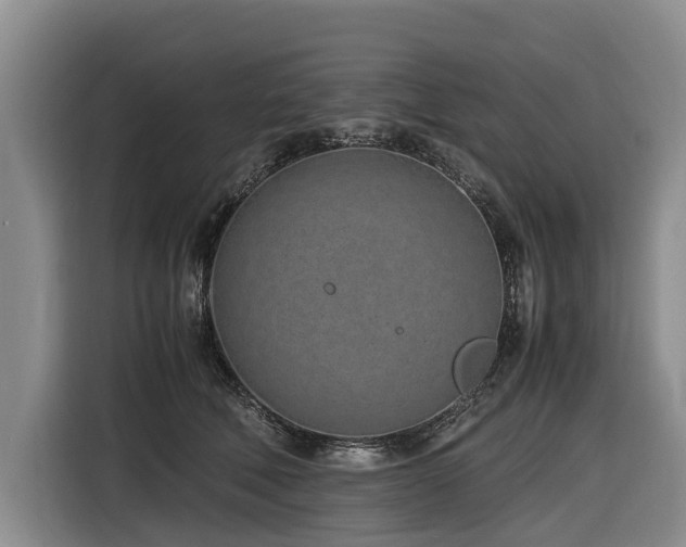 X0000116600610200912111115