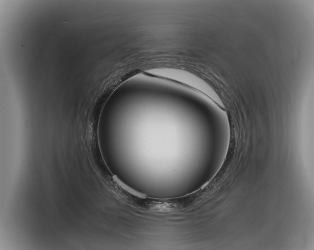 X0000116600611200912111115