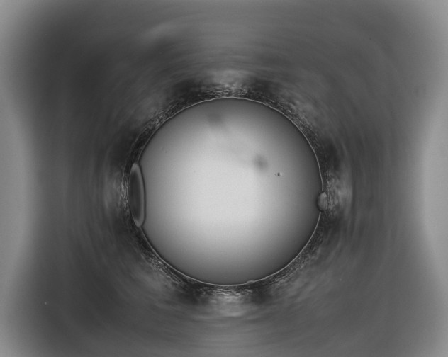 X0000116600613200912111115