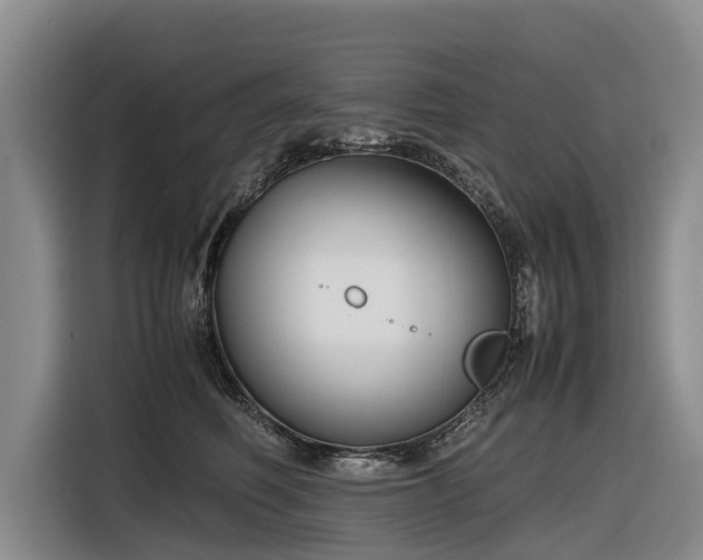 X0000116600614200912111115