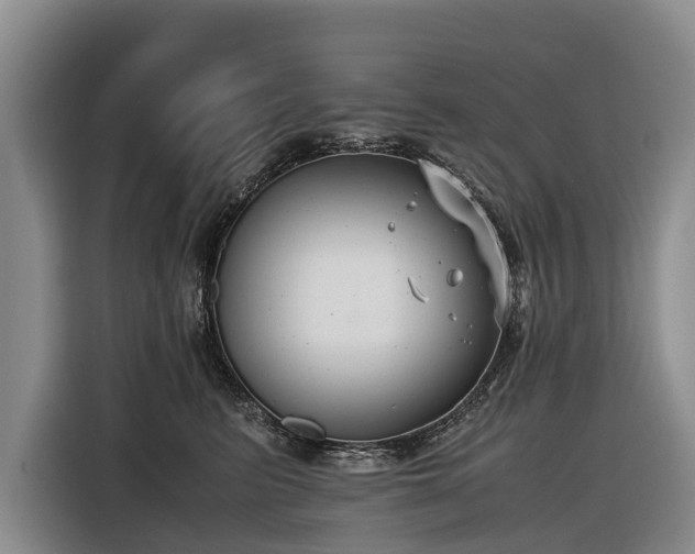 X0000116600615200912111115