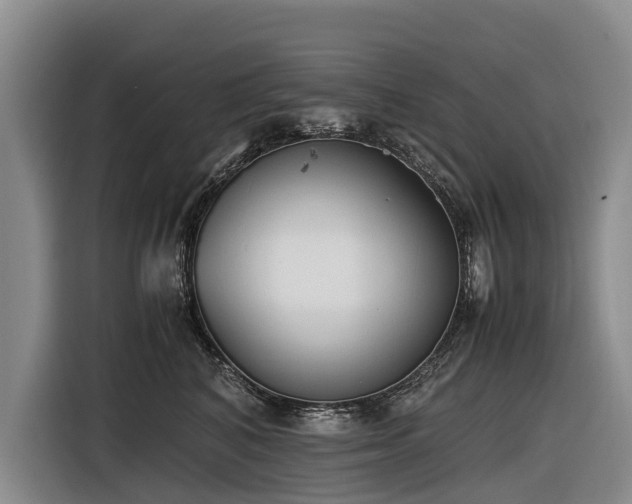 X0000116600616200912111115