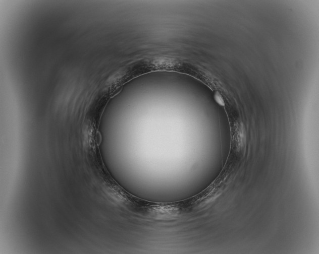 X0000116600619200912111115
