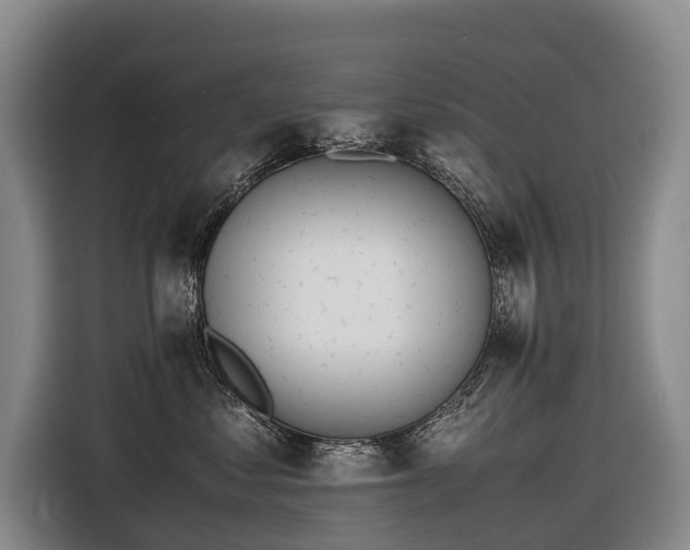 X0000116600621200912111115