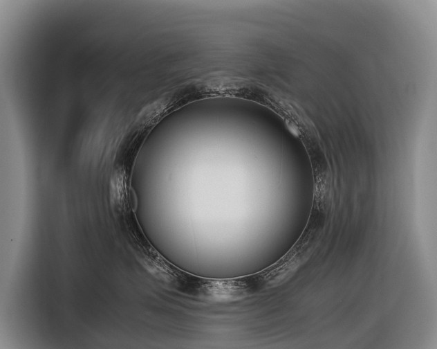 X0000116600623200912111115