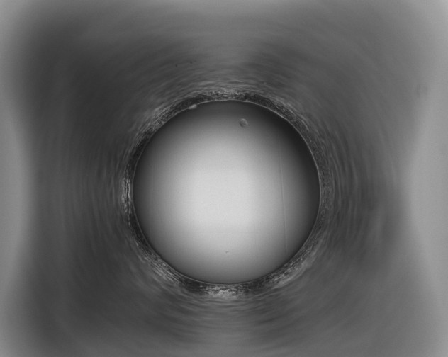 X0000116600624200912111115
