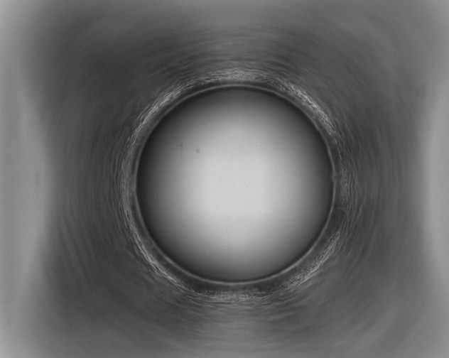 X0000116600625200912111114