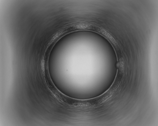 X0000116600626200912111114