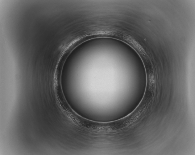 X0000116600628200912111114