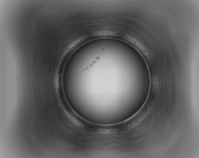 X0000116600629200912111114