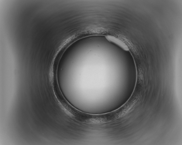 X0000116600630200912111114