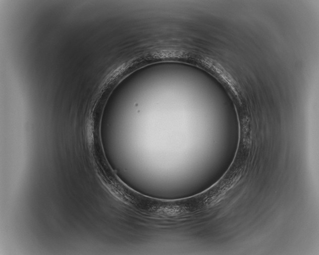 X0000116600631200912111114