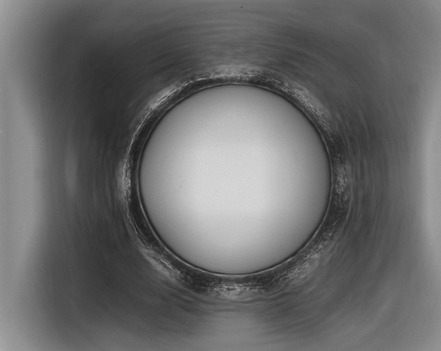 X0000116600632200912111114
