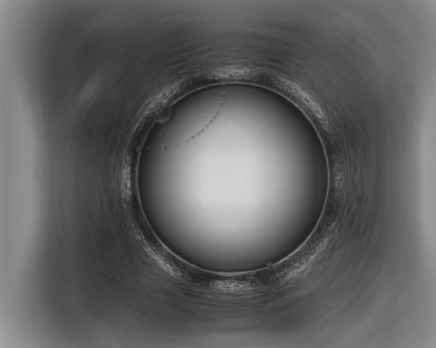 X0000116600633200912111114