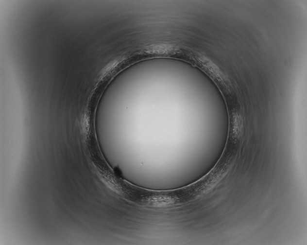 X0000116600636200912111114
