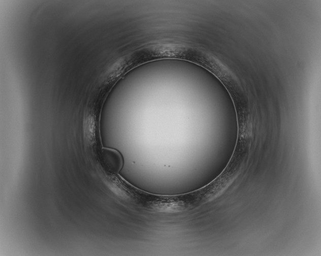 X0000116600646200912111115
