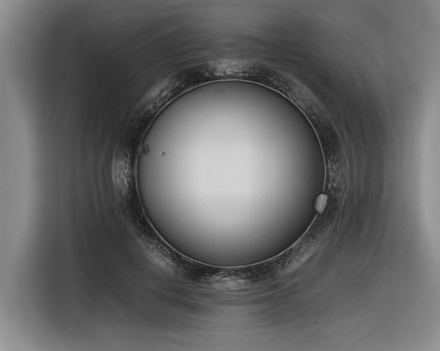 X0000116600648200912111115