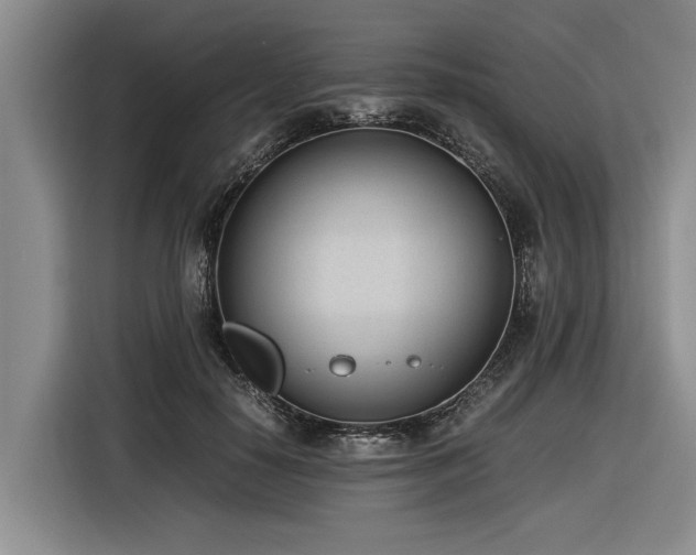 X0000116600650200912111115