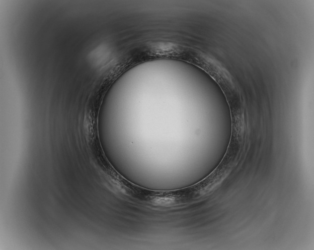 X0000116600653200912111115