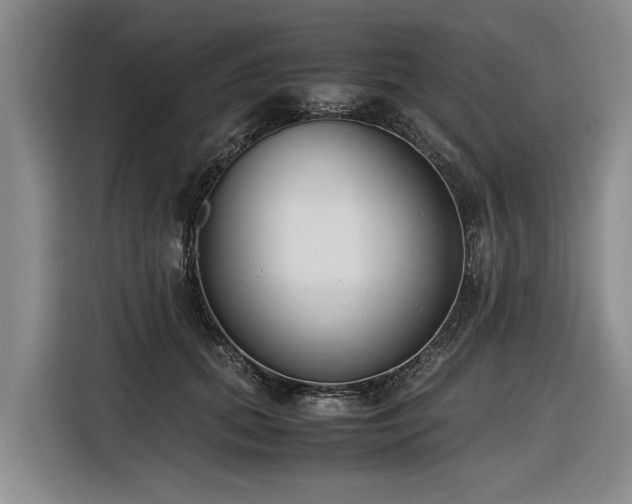 X0000116600655200912111115