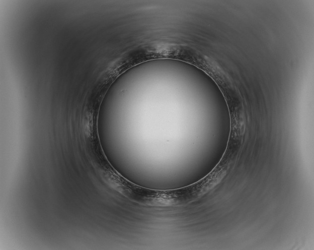 X0000116600656200912111115