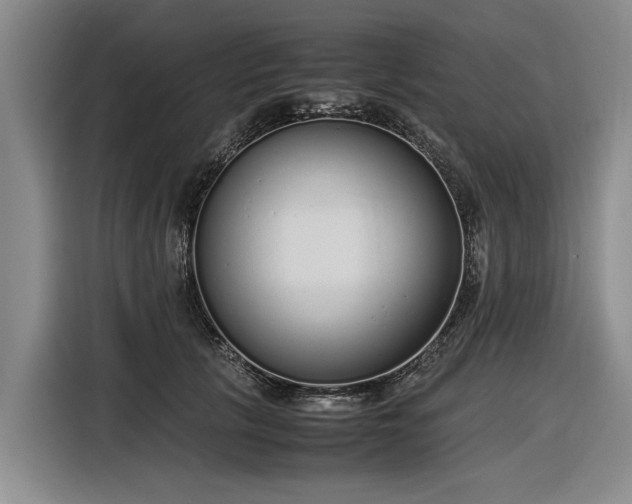 X0000116600657200912111115