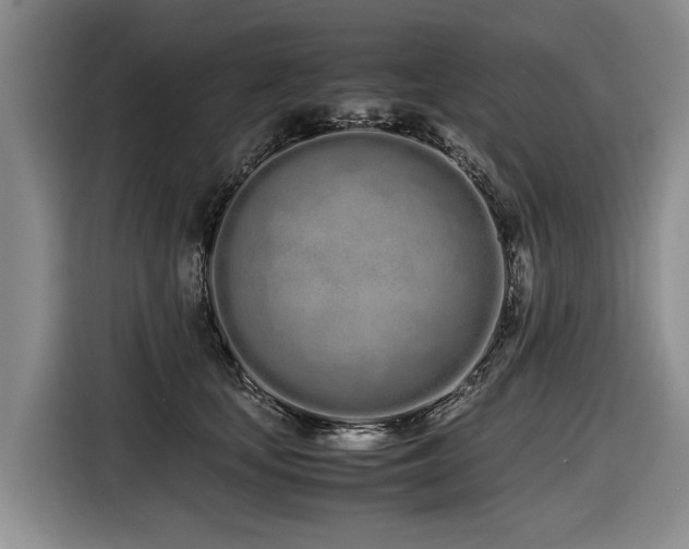 X0000116600659200912111115