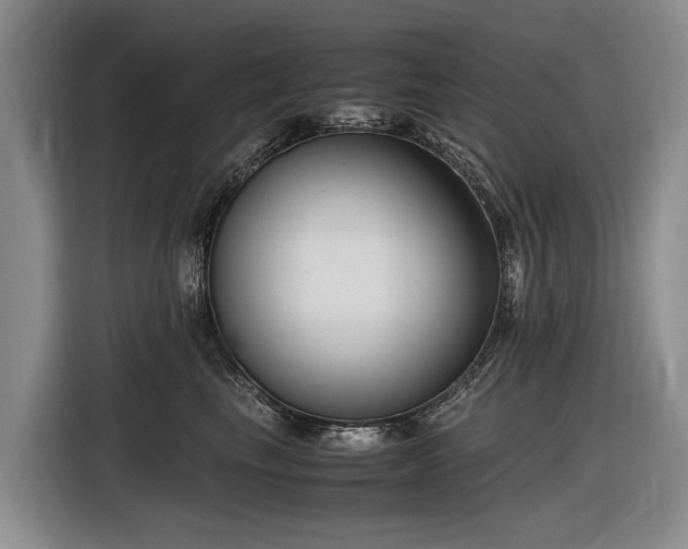 X0000116600665200912111115