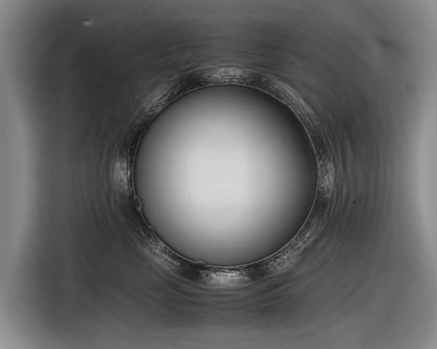 X0000116600669200912111115