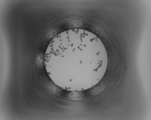 X0000116600672200912111115