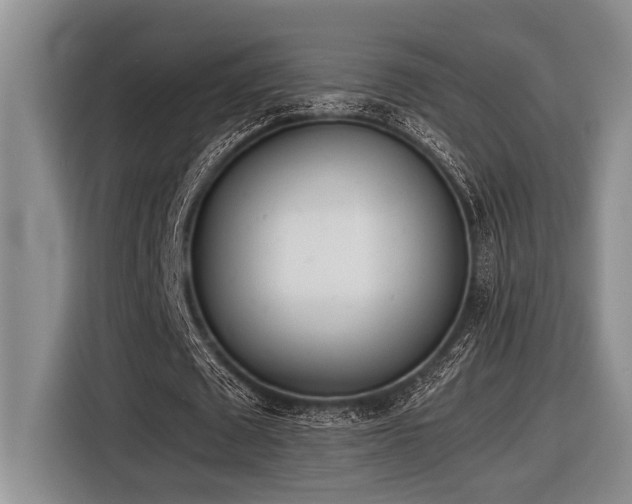 X0000116600673200912111114