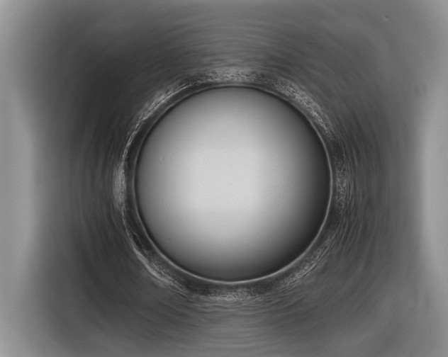 X0000116600674200912111114