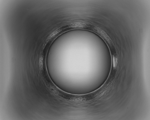 X0000116600675200912111114