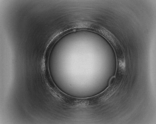 X0000116600676200912111114