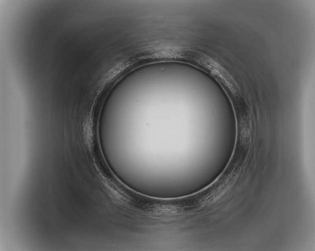 X0000116600677200912111114