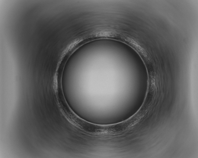 X0000116600678200912111114