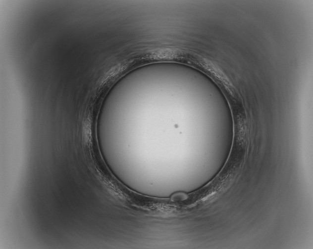 X0000116600681200912111114