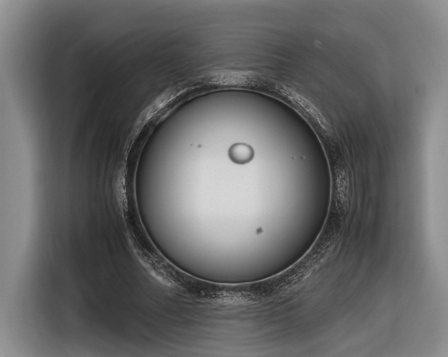 X0000116600682200912111114