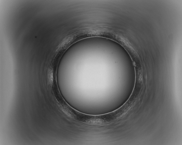 X0000116600685200912111114