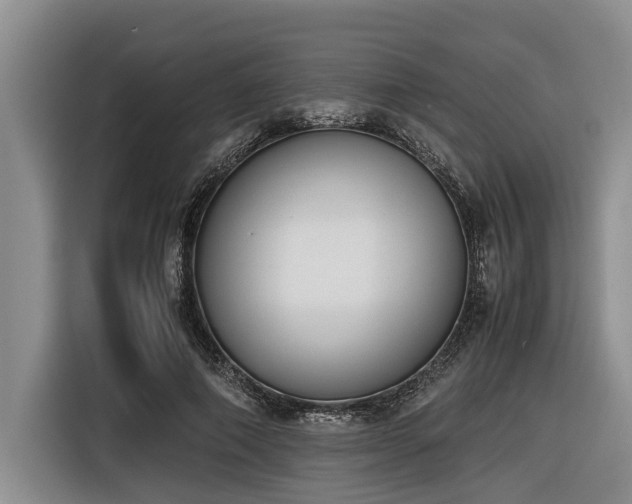 X0000116600690200912111114