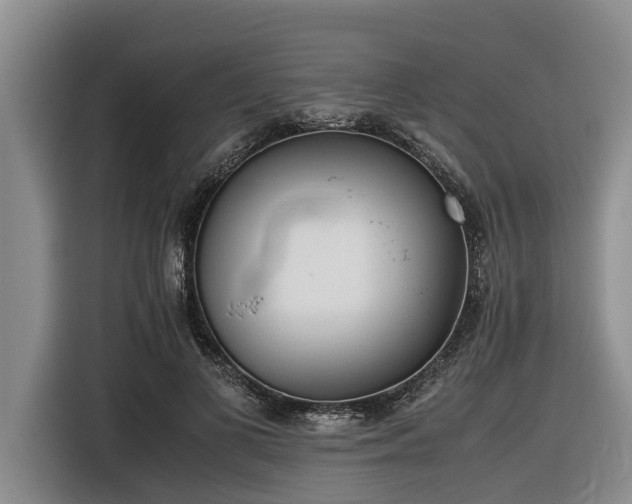 X0000116600693200912111114