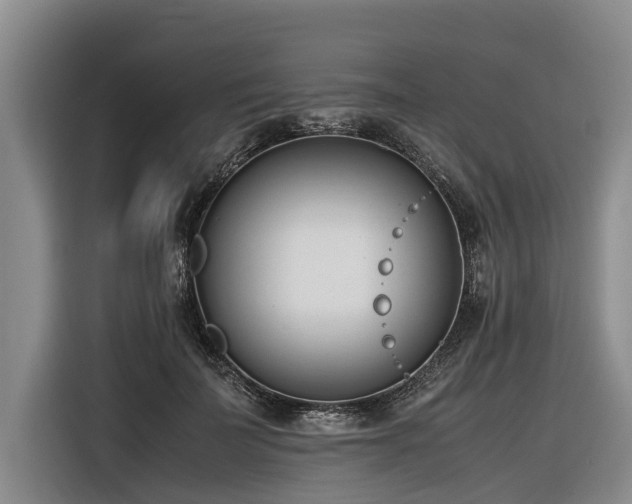 X0000116600699200912111114