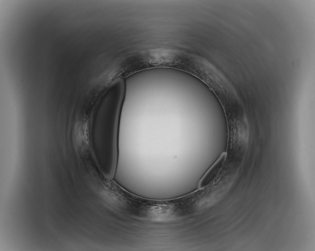 X0000116600700200912111114